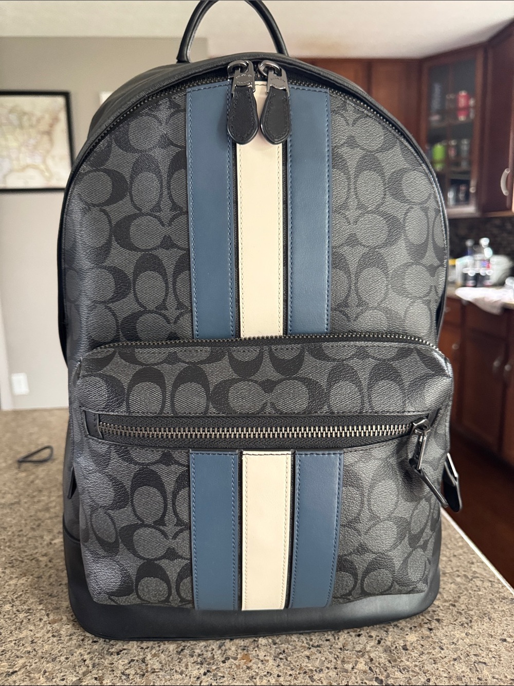 😎Coach Men's Signature Canvas Backpack in Gray !! EUC good condition 😎 - Picture 13 of 13